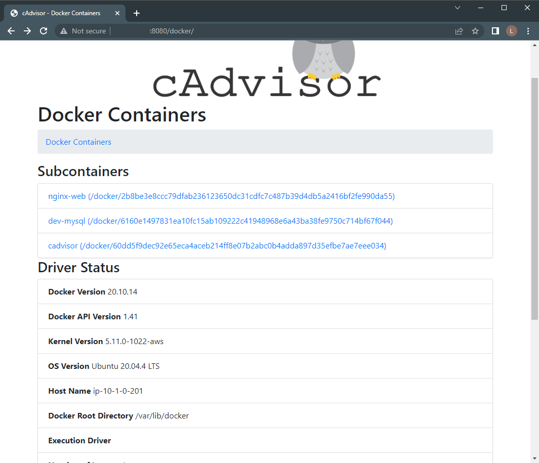 cAdvisor docker containers