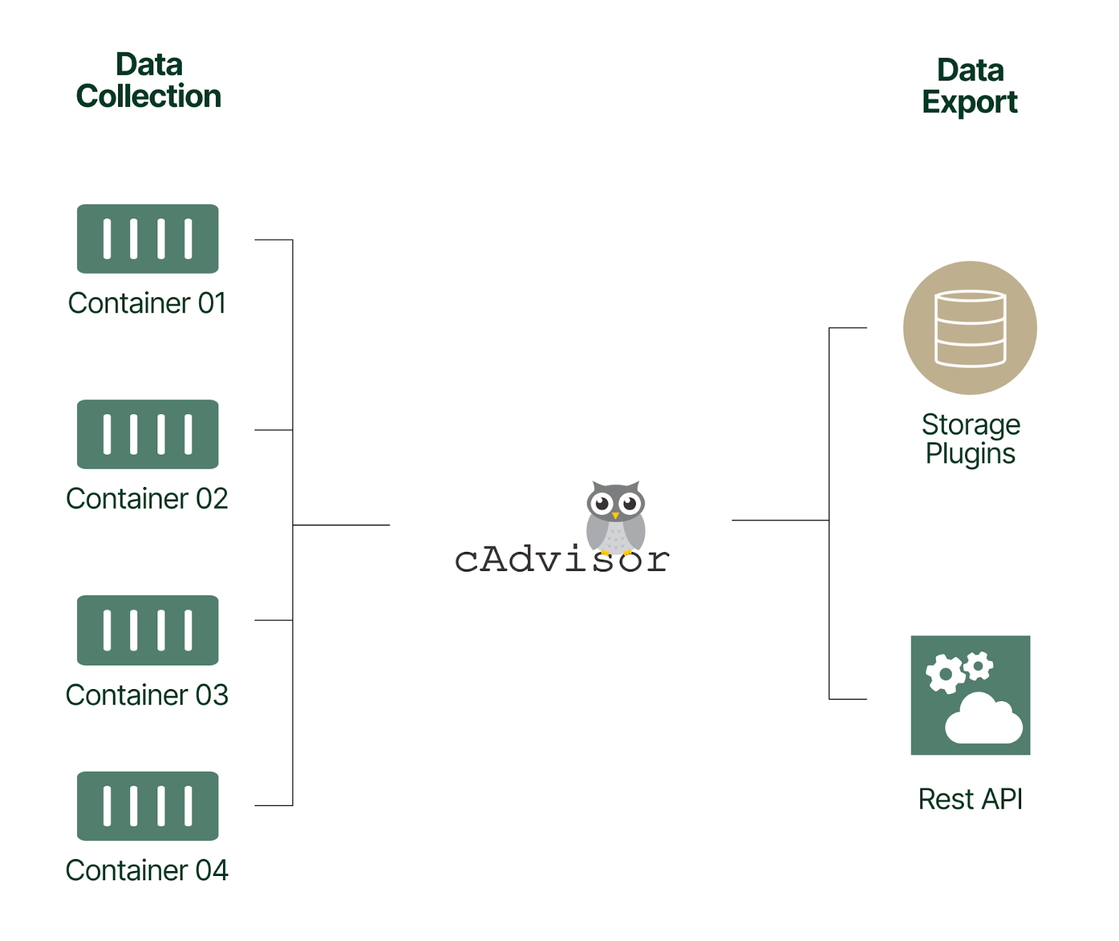 cAdvisor workflow