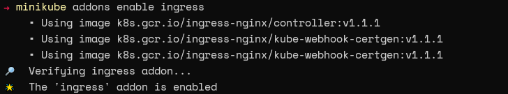 minikube addons enable ingress